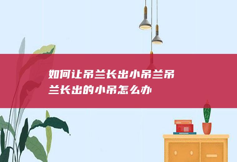 如何让吊兰长出小吊兰(吊兰长出的小吊怎么办)