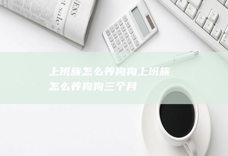 上班族怎么养狗狗(上班族怎么养狗狗三个月)