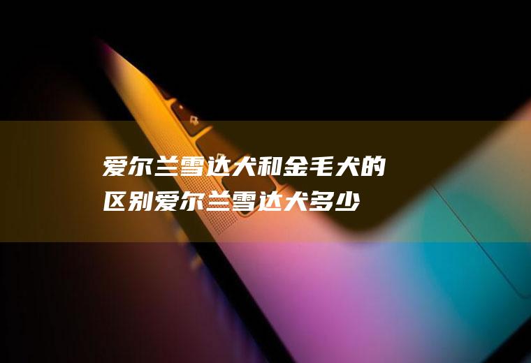 爱尔兰雪达犬和金毛犬的区别(爱尔兰雪达犬多少钱一只)