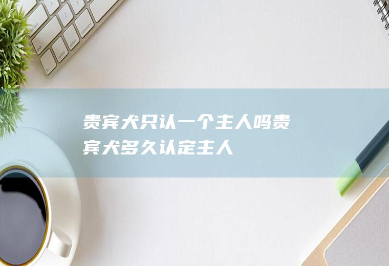 贵宾犬只认一个主人吗(贵宾犬多久认定主人)