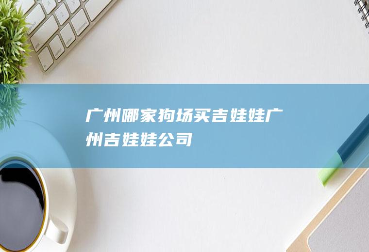 广州哪家狗场买吉娃娃(广州吉娃娃公司)