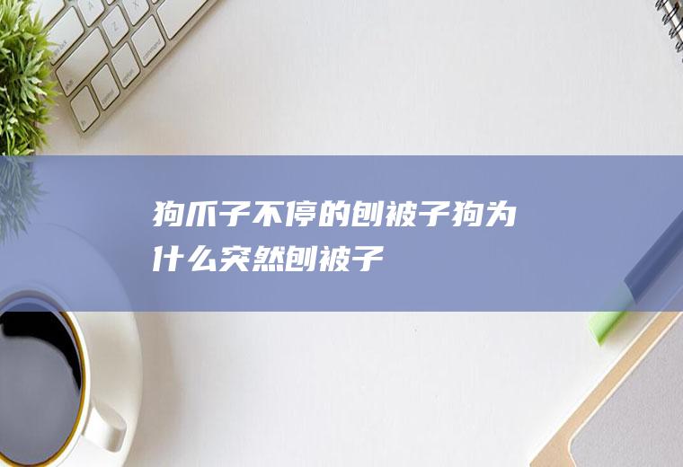 狗爪子不停的刨被子(狗为什么突然刨被子)