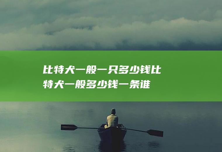 比特犬一般一只多少钱比特犬一般多少钱一条谁