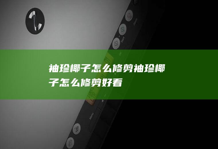 袖珍椰子怎么修剪(袖珍椰子怎么修剪好看)