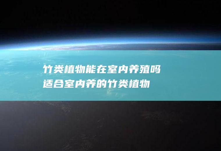 竹类植物能在室内养殖吗(适合室内养的竹类植物)