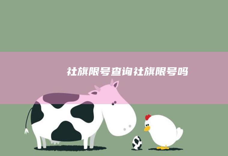社旗限号查询社旗限号吗