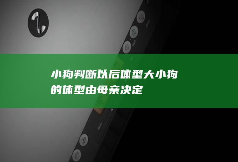 小狗判断以后体型大小(狗的体型由母亲决定)