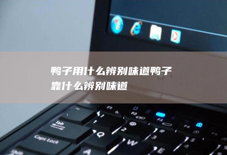 鸭子用什么辨别味道,鸭子靠什么辨别味道