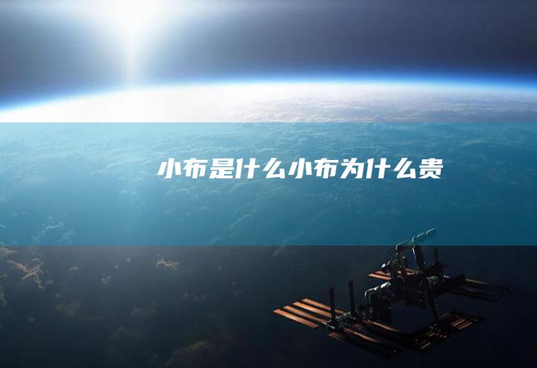 小布是什么(小布为什么贵)