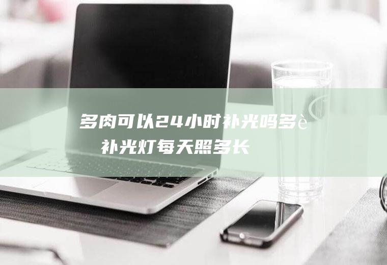 多肉可以24小时补光吗(多肉补光灯每天照多长时间)
