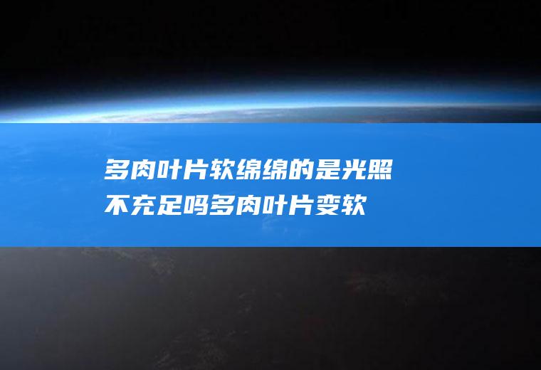 多肉叶片软绵绵的是光照不充足吗(多肉叶片变软)
