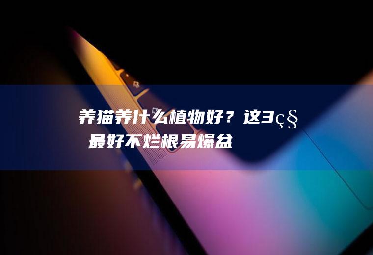 养猫养什么植物好？这3种最好,不烂根、易爆盆
