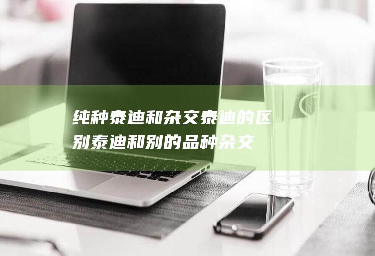 纯种泰迪和杂交泰迪的区别(泰迪和别的品种杂交)