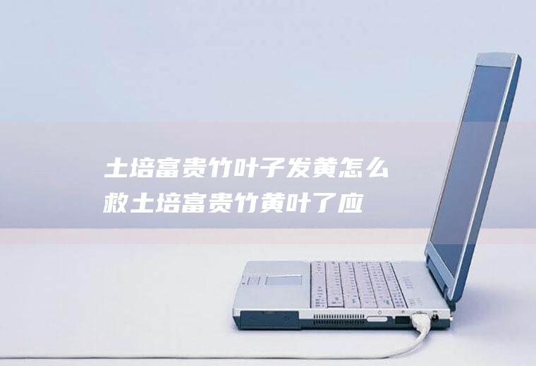 土培富贵竹叶子发黄怎么救(土培富贵竹黄叶了应该怎么办)