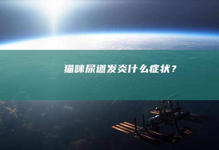 猫咪尿道发炎什么症状？
