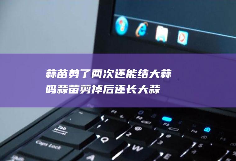 蒜苗剪了两次还能结大蒜吗,蒜苗剪掉后还长大蒜吗?