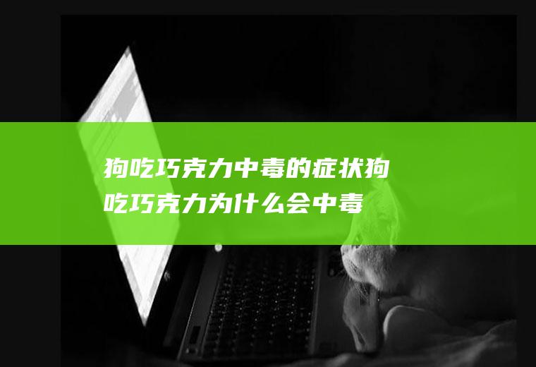 狗吃巧克力中毒的症状(狗吃巧克力为什么会中毒)