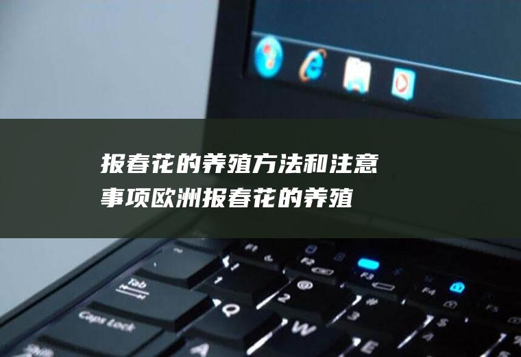 报春花的养殖方法和注意事项(欧洲报春花的养殖方法和注意事项)