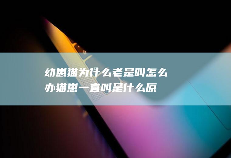 幼崽猫为什么老是叫怎么办(猫崽一直叫是什么原因)