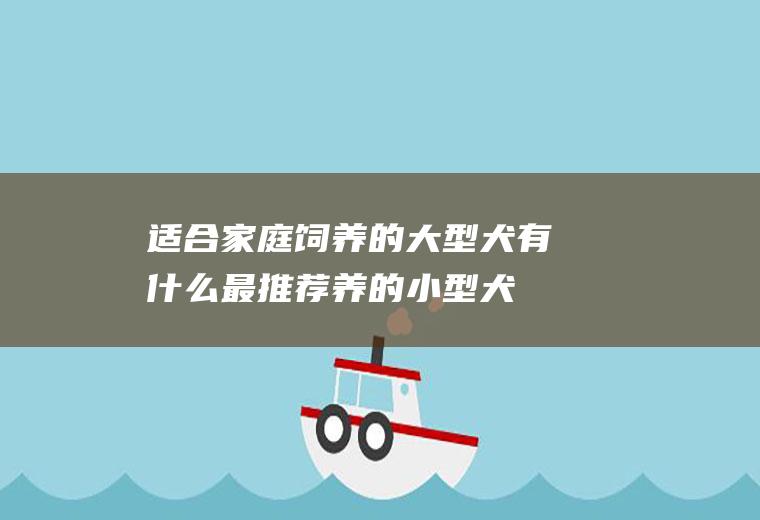 适合家庭饲养的大型犬有什么最推荐养的小型犬