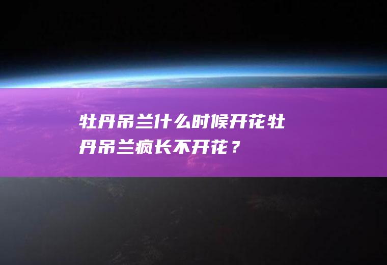 牡丹吊兰什么时候开花,牡丹吊兰疯长不开花？