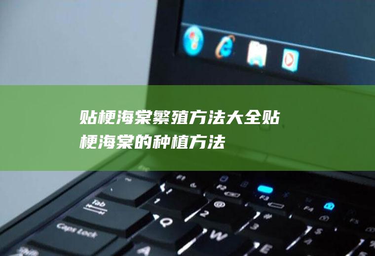 贴梗海棠繁殖方法大全(贴梗海棠的种植方法)