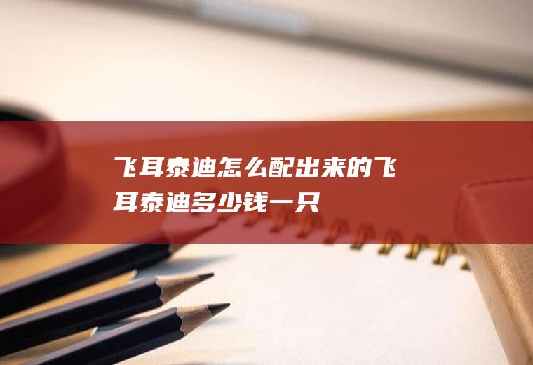 飞耳泰迪怎么配出来的(飞耳泰迪多少钱一只)