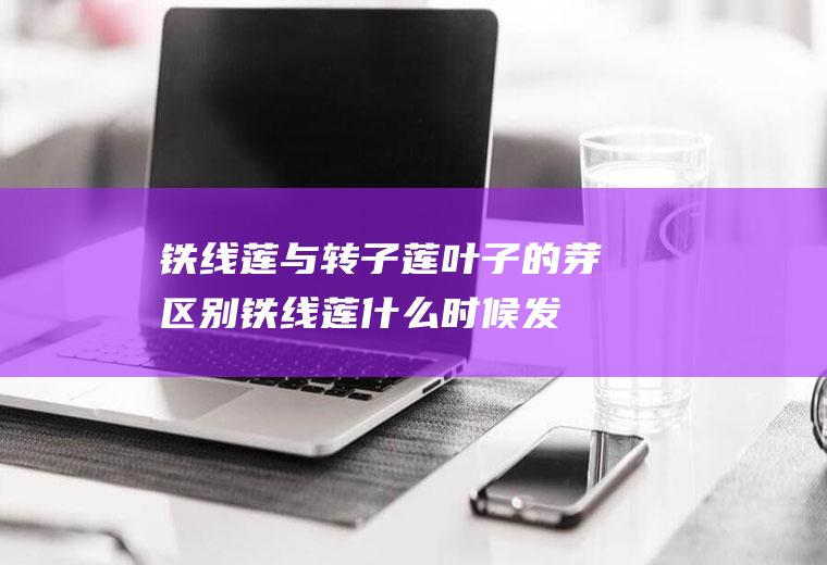 铁线莲与转子莲叶子的芽区别(铁线莲什么时候发芽)