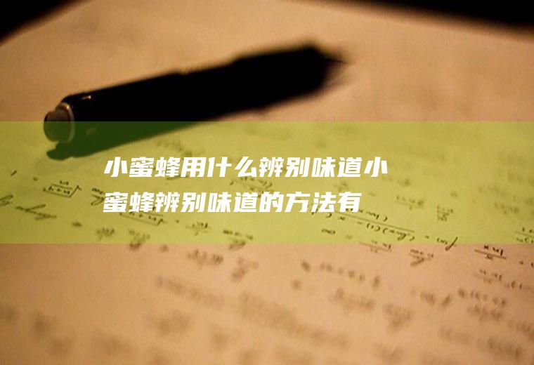 小蜜蜂用什么辨别味道,小蜜蜂辨别味道的方法有哪些