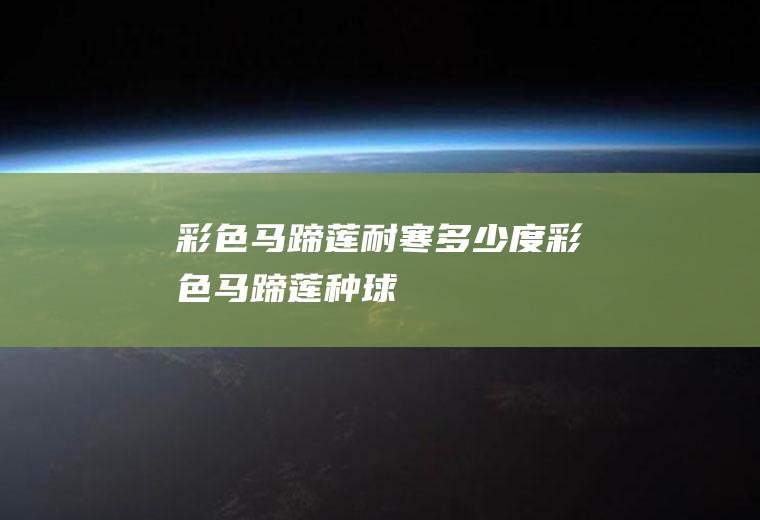 彩色马蹄莲耐寒多少度(彩色马蹄莲种球)