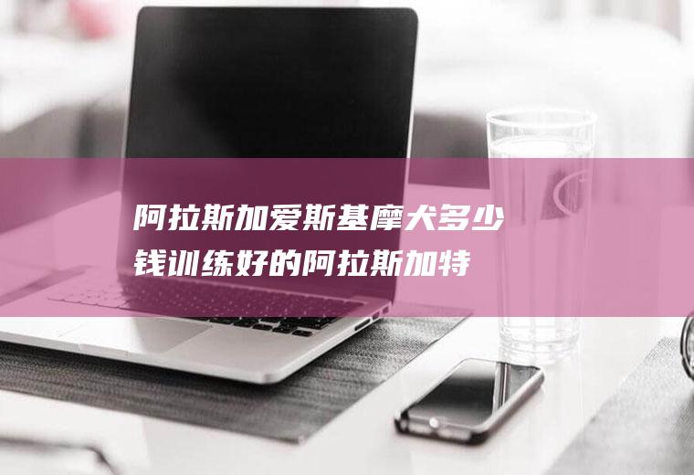 阿拉斯加爱斯基摩犬多少钱(训练好的阿拉斯加特会配)