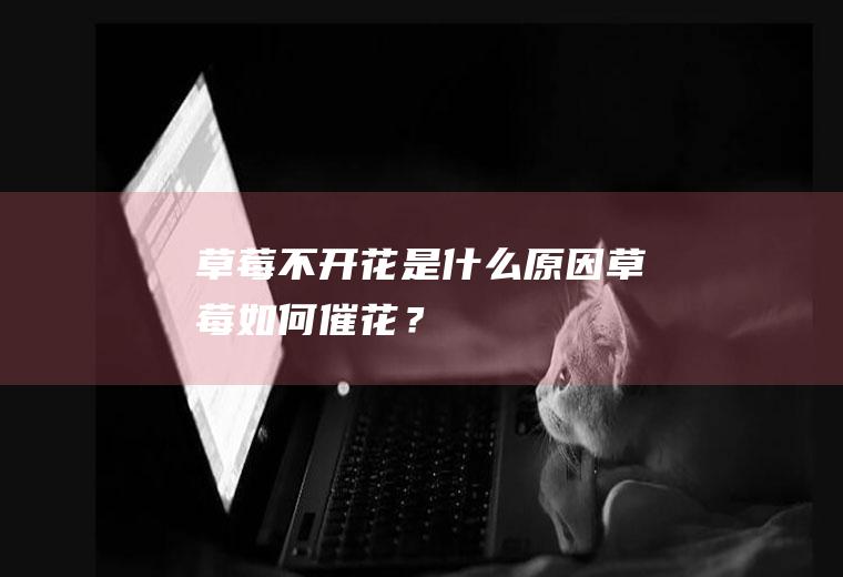 草莓不开花是什么原因,草莓如何催花？