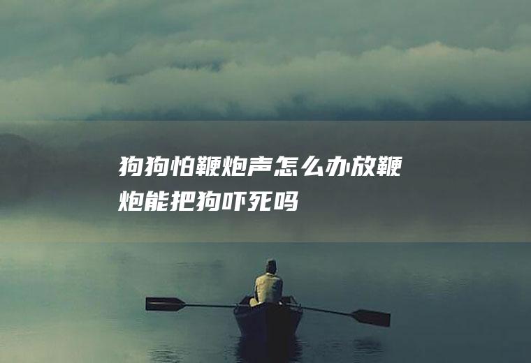 狗狗怕鞭炮声怎么办(放鞭炮能把狗吓死吗)