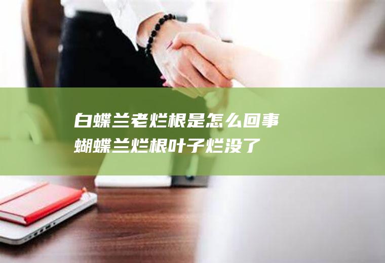 白蝶兰老烂根是怎么回事蝴蝶兰烂根烂没了