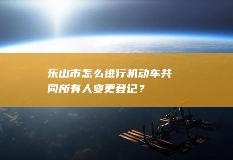 乐山市怎么进行机动车共同所有人变更登记？