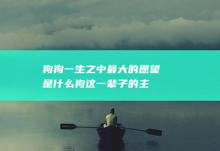 狗狗一生之中最大的愿望是什么(狗这一辈子的主旨)