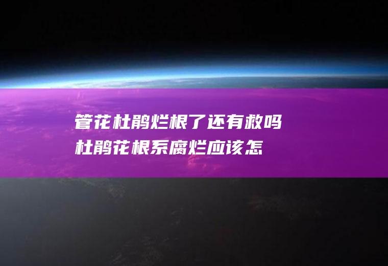 管花杜鹃烂根了还有救吗(杜鹃花根系腐烂应该怎么办)