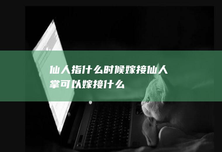 仙人指什么时候嫁接(仙人掌可以嫁接什么)