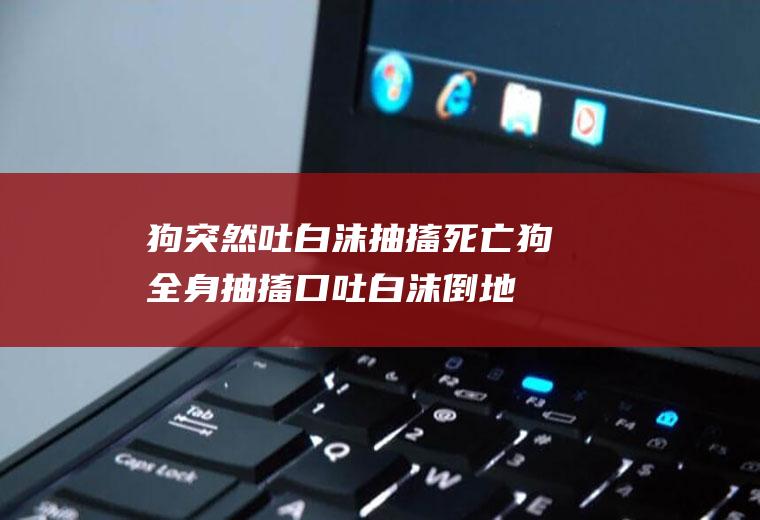 狗突然吐白沫抽搐死亡(狗全身抽搐口吐白沫倒地不起)