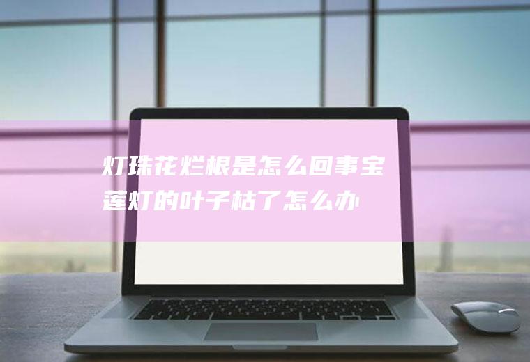 灯珠花烂根是怎么回事(宝莲灯的叶子枯了怎么办?)