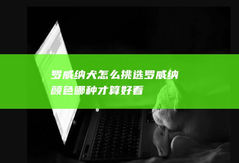 罗威纳犬怎么挑选(罗威纳颜色哪种才算好看)