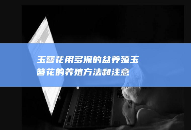 玉簪花用多深的盆养殖(玉簪花的养殖方法和注意事项)