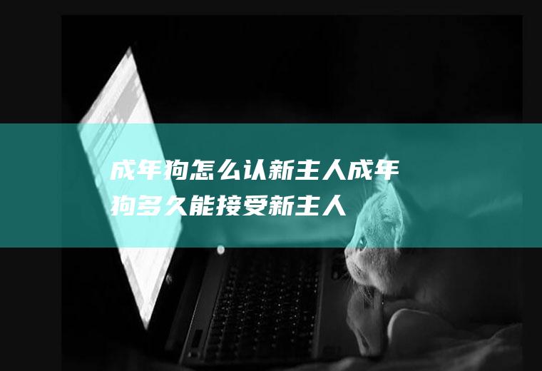 成年狗怎么认新主人(成年狗多久能接受新主人)