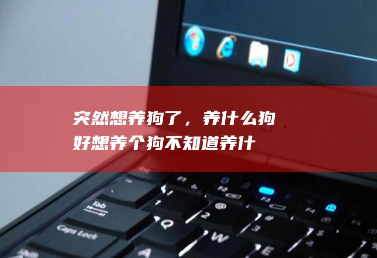 突然想养狗了，养什么狗好(想养个狗不知道养什么)