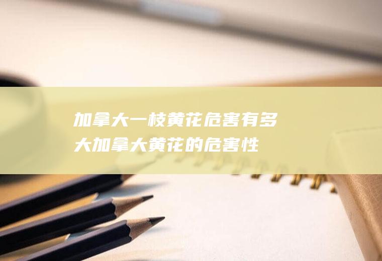 加拿大一枝黄花危害有多大(加拿大黄花的危害性)