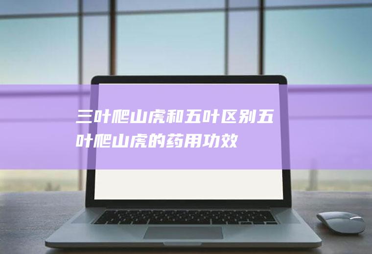 三叶爬山虎和五叶区别(五叶爬山虎的药用功效)