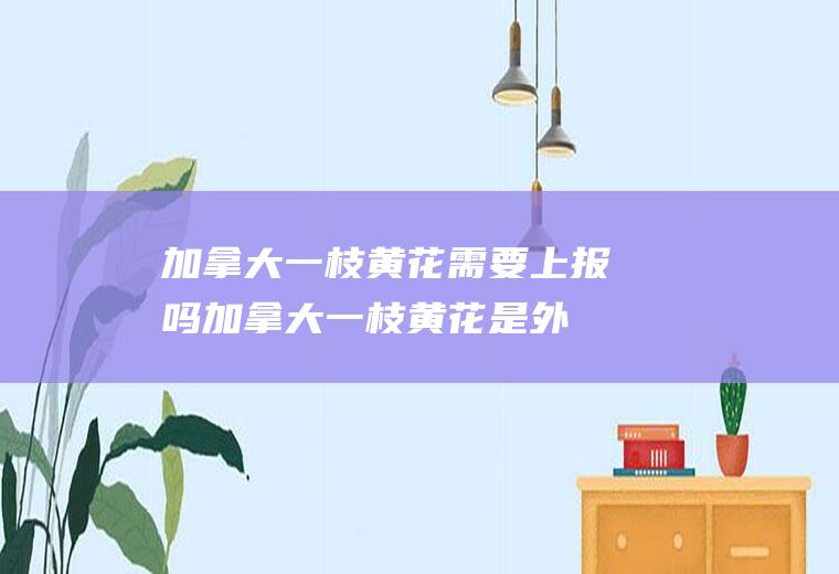 加拿大一枝黄花需要上报吗(加拿大一枝黄花是外来入侵物种)