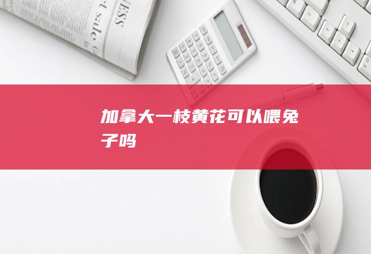 加拿大一枝黄花可以喂兔子吗