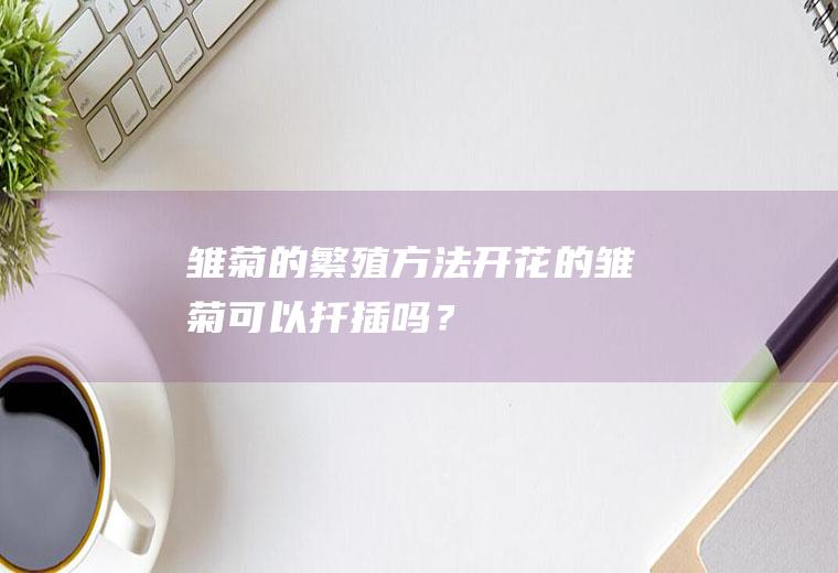 雏菊的繁殖方法,开花的雏菊可以扦插吗？
