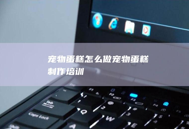宠物蛋糕怎么做(宠物蛋糕制作培训)